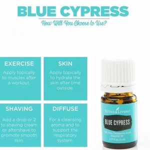 Young Living Blue Cypress Oil NWT